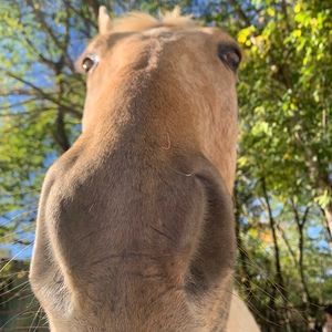 Meet your Posher, Brielle